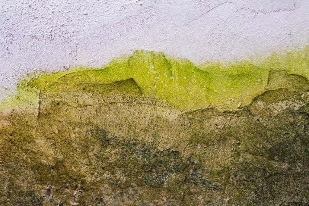 Iberobras Inmobiliario - La importancia de proteger las fachadas contra la humedad y el deterioro ambiental. - foto patron textura pared 58702 12661