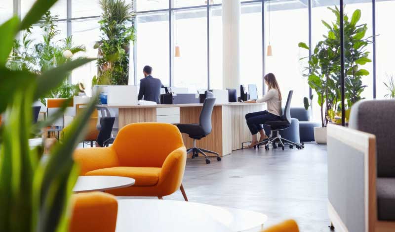 reformas-franquicias-marcas-madrid reformas-franquicias-marcas-madrid